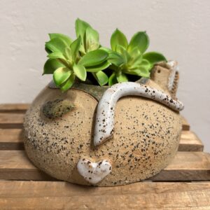 EMOZIONE SOGNANTE FIORITA